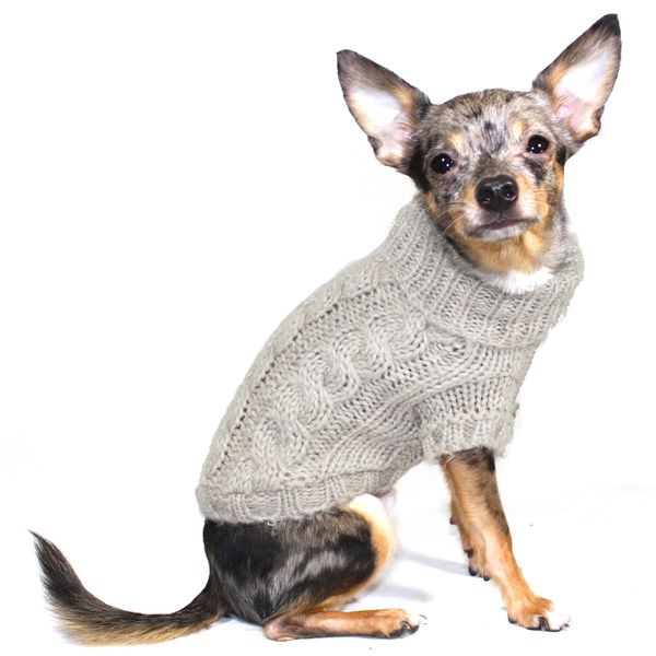 Chihuahua dog wearing grey cashmere knitted designer dog jumper.