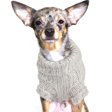 Small Chihuahua dog wearing grey knittted small dog jumper.