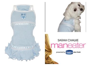Blue butterfly dog dress by the famous Hip Doggie featured in Lifetime's 'Maneater' staring TV show.