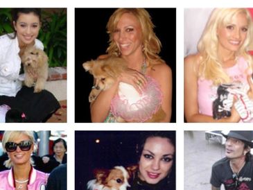 Celebrities caught with the famous Hip Doggie products. 