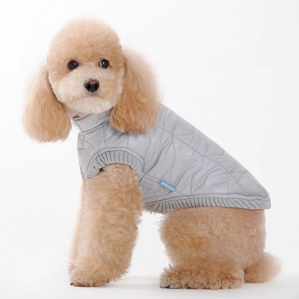 Cream Toy Poodle dog wearing silver grey quilted designer small dog coat by Dogo brand.