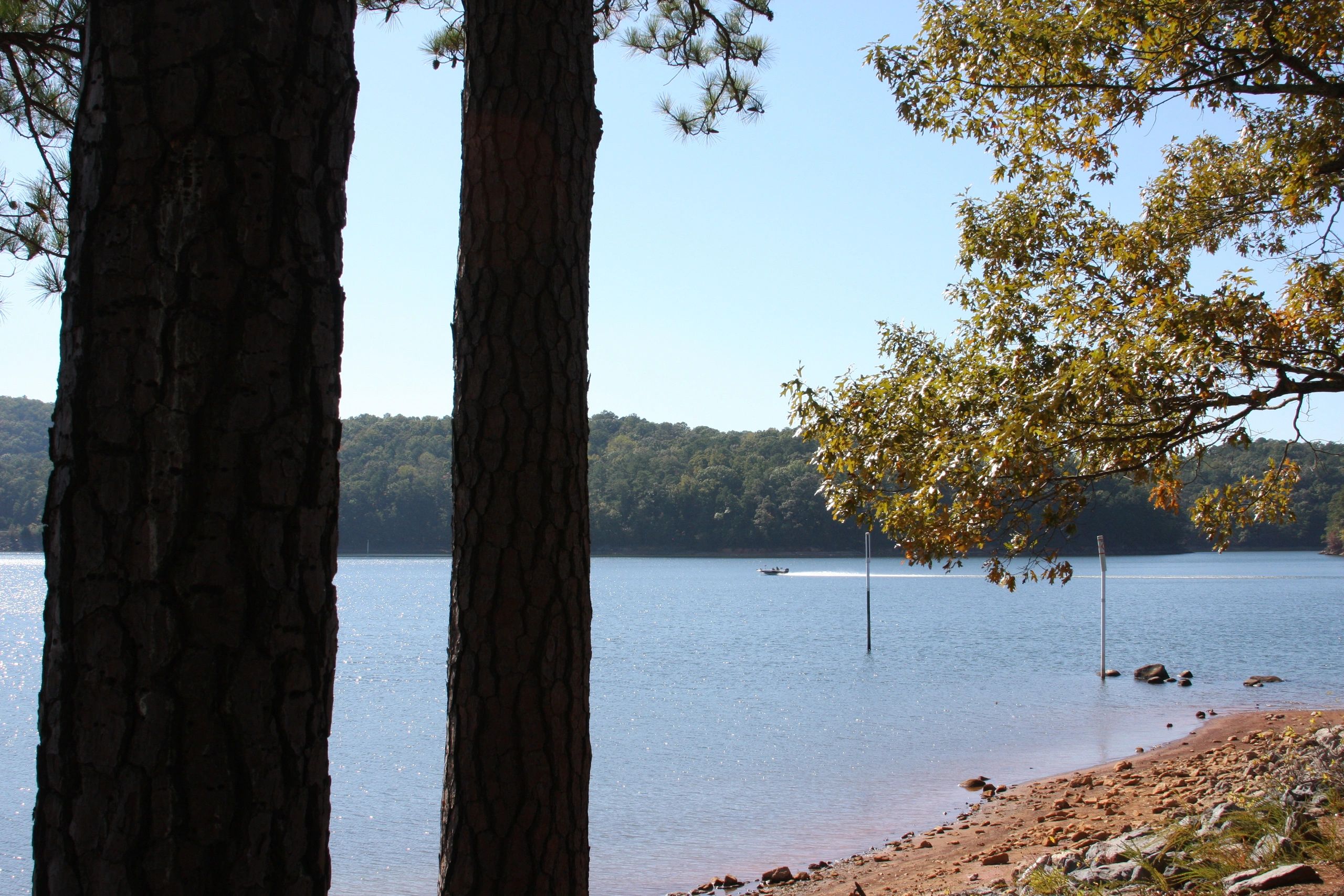 Boat cruising on a serene lake with trees framing the view.