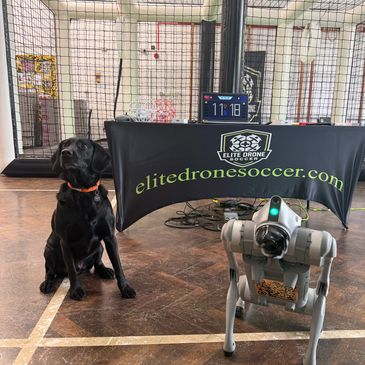A black dog sits next to a robot dog inside an indoor sports facility.