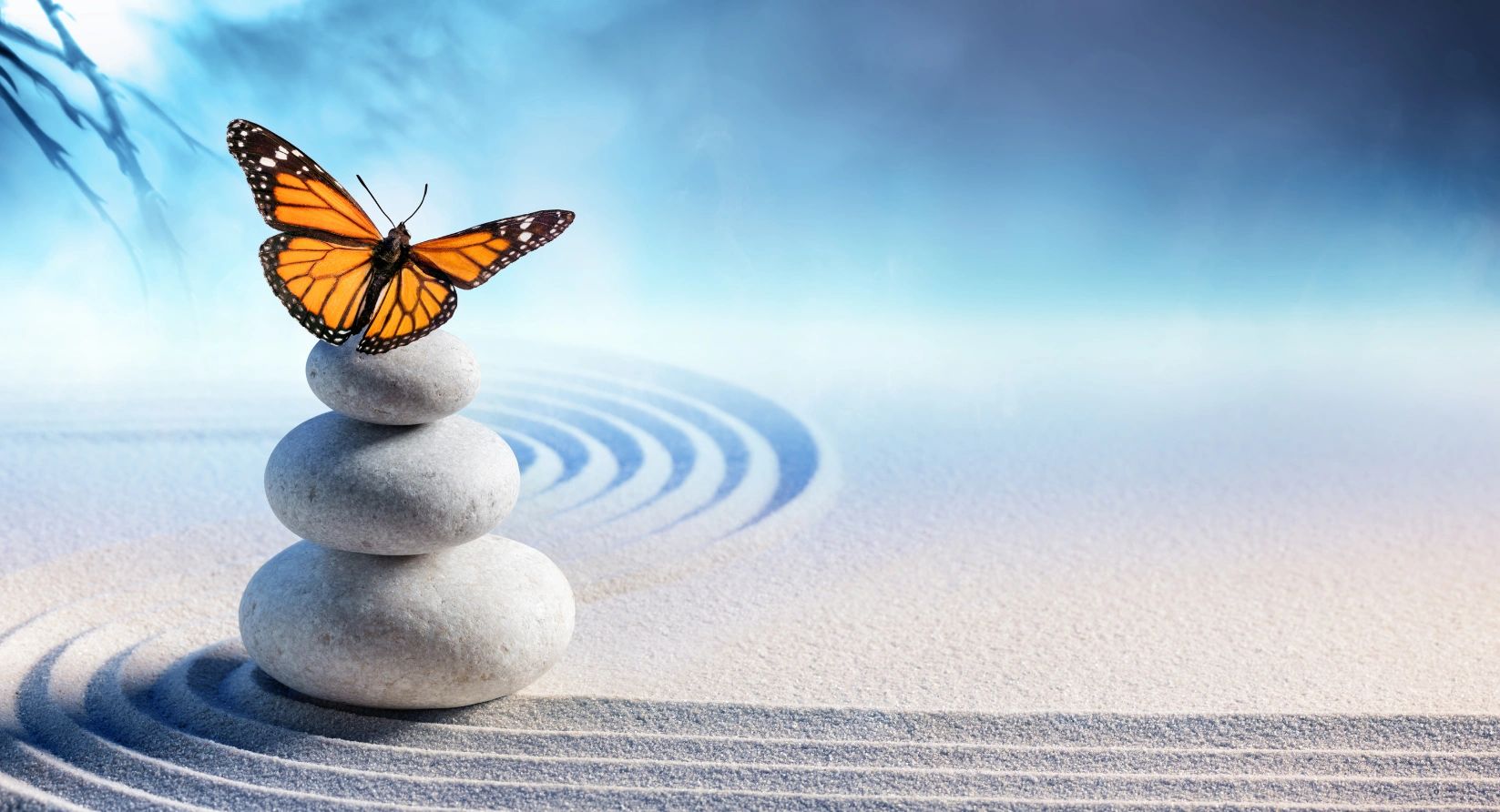 Inner Focus Hypnotherapy logo