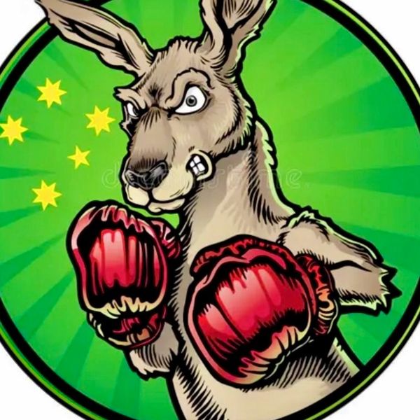 Fierce kangaroo with boxing gloves ready to fight.