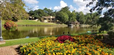 A vibrant garden by a calm river with houses in the background.