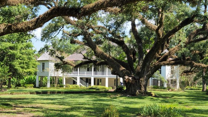 Melrose Plantation grounds