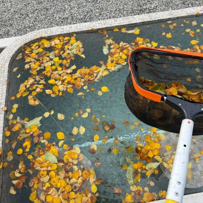 A pool filled with autumn leaves and a net for cleaning.