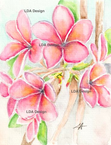 Watercolor painting of pink plumeria flowers.