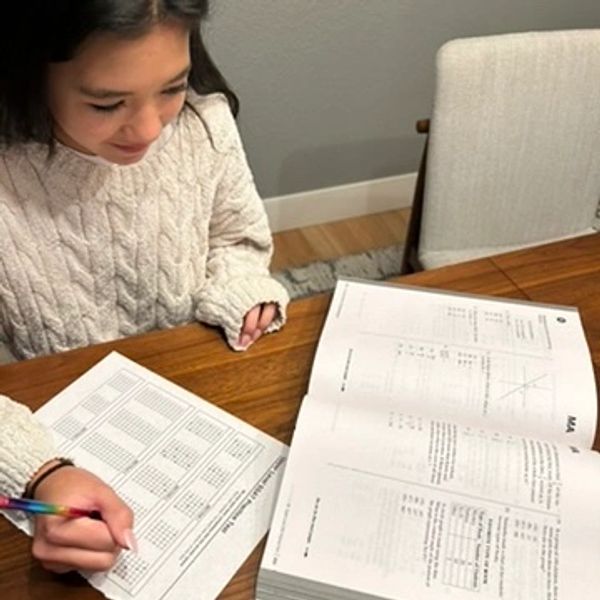 Test preparation, test-taking skills, executive functioning skills