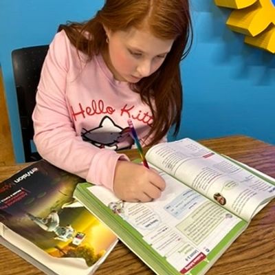 Mathematics Support, Reading Support, Writing Support, Test Taking Support, Executive Functioning 