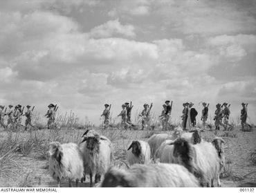 2 1st Bn B Company route march Julis Palestine March 1940 AWM 01137