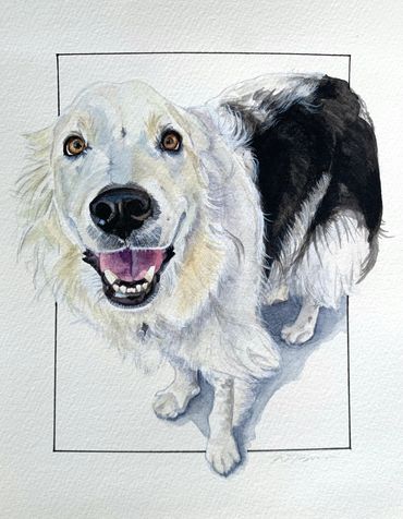 Dog smiling