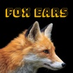 FOX EARS