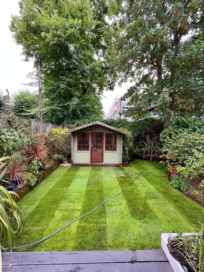 Lush green lawn in small garden with a large shed at the rear and planting on side borders