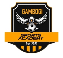 Gambogi sports Academy