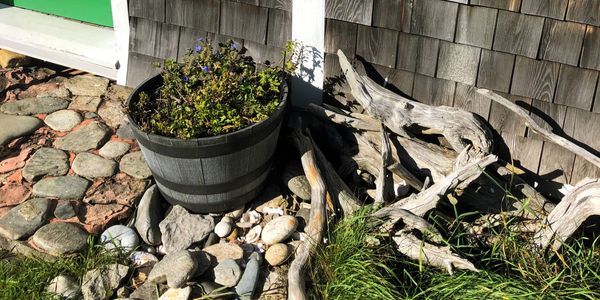 A lovely seaside landscape at a customer's Long Island Maine home.
