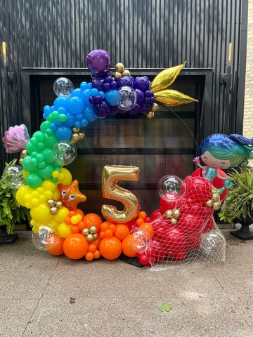 Includes hoop and balloons. 