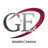 CONSULTORIA G Y E AGENTE DE SEGUROS Y DE FIANZAS