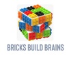 Bricks Build Brains