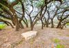 Fenced-In Dog Park with Oak Trees providing Shade.