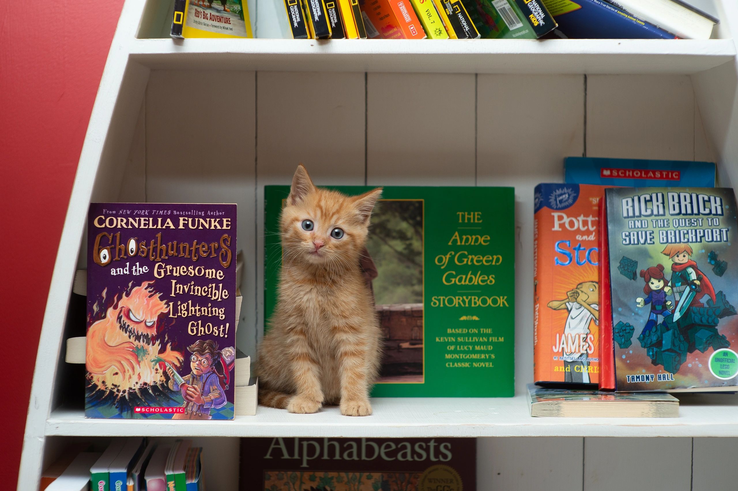 otis and clementines