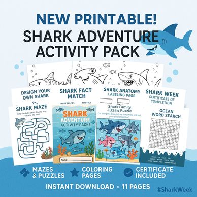 Mockup of a shark adventure activity pack for Blooming Ohana's shark week promotion etsy launch