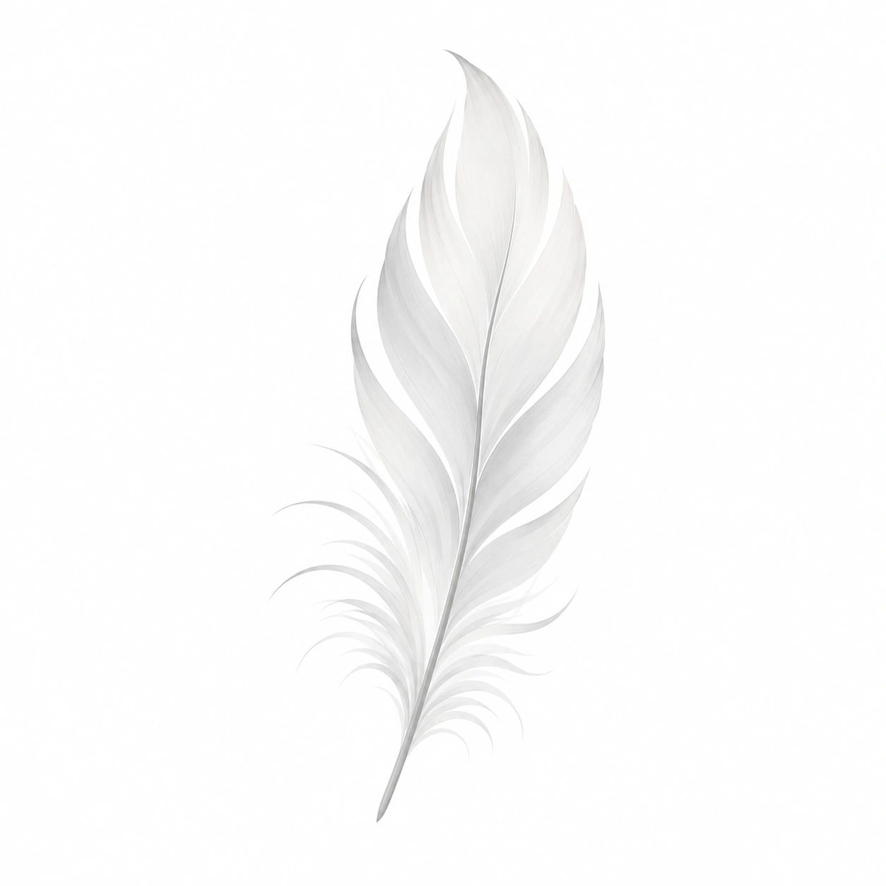 Delicate white feather on a white background.