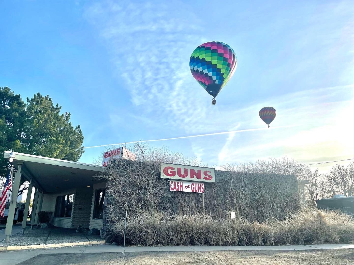 Guns N Ammo Guns Gardnerville, Nevada