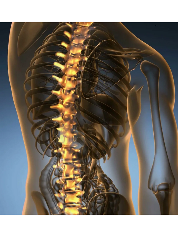 alignment of the spine