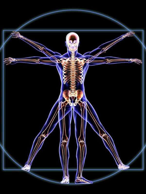 alignment of the body