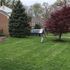 lawn services, lawn care, tree removal, tree services, lawn mowing, landscaping, weeding, edging