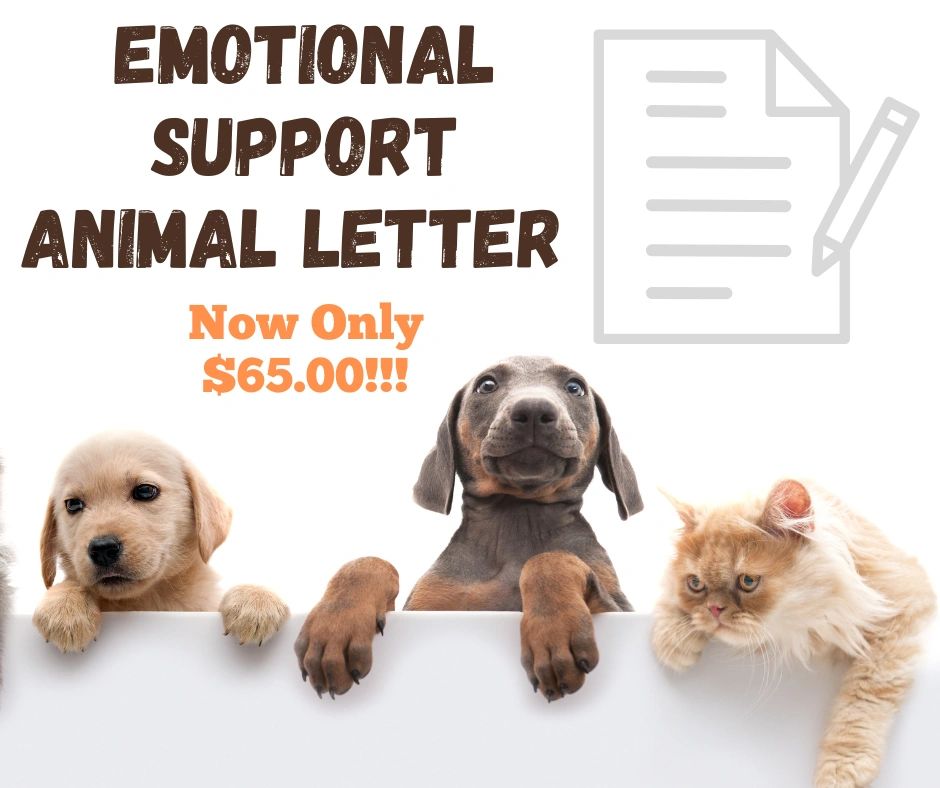 ESA Letter, Emotional Support Animal Letter, ESA Doctor Orlando, Emotional Support Animal Doctor
