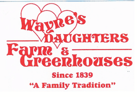 Waynesdaughtersgreenhouses.com