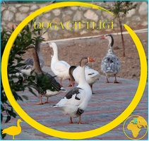 Doğa Çiftliği