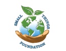 Small Things Foundation 