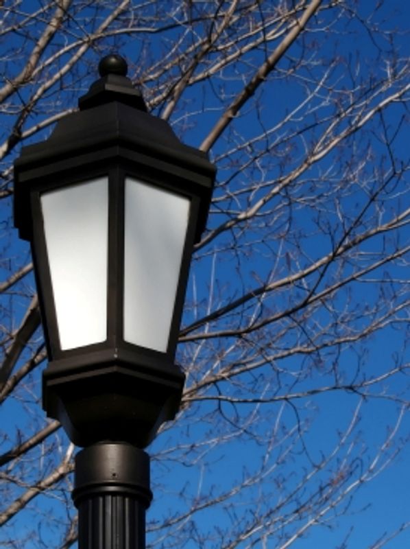 Black street lamp with bare tree branches and blue sky.