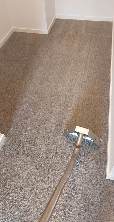 carpet steam cleaning in Bayswater