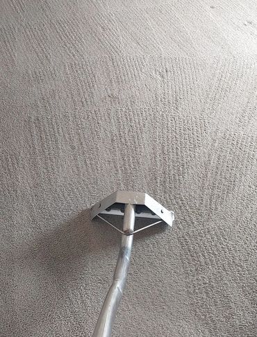 carpet steam cleaning in Rowville