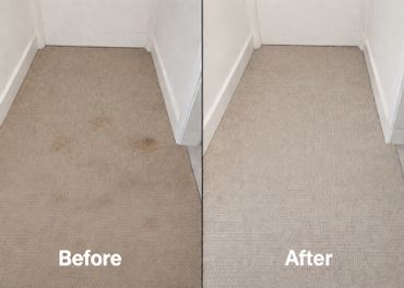 Side-by-side carpet before and after cleaning showing stain removal.