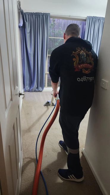 carpet steam cleaning Bayswater