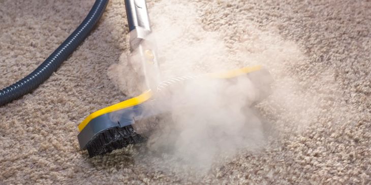 Professional steam cleaning