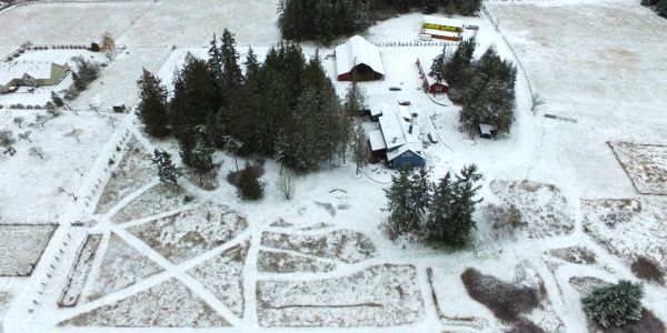 Snow-covered farm with trees and buildings.