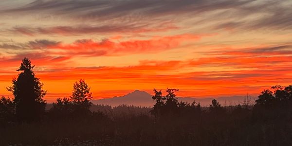 Vibrant orange sunset over silhouetted trees and distant mountains.