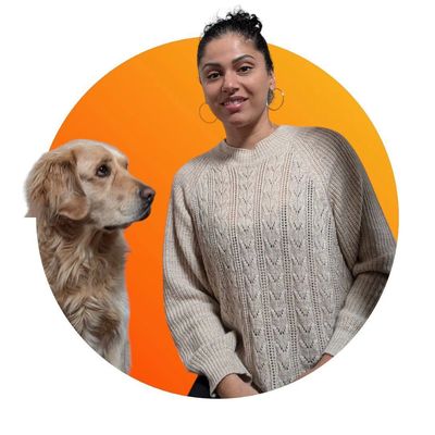 mental health support
psychotherapy services
trauma therapy