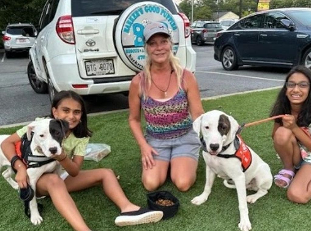 Slate AKA Lebowski 9 month male.
White w/brindle eye patch. Neutered. 
One cool dude!  