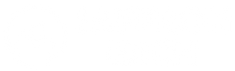 SAFFRONEXCH LOGO