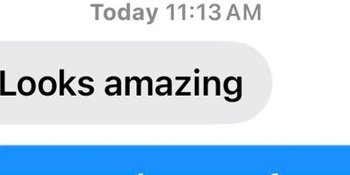 Screenshot of a message saying 'Looks amazing' at 11:13 AM.