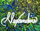 Alexander Fine Arts