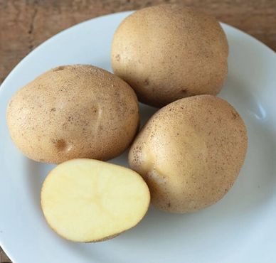 Three whole potatoes and one cut potato on a white plate.